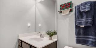 12258 SESSILE CMNS Gallery 11