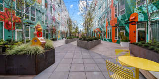 The Piper Gallery 40