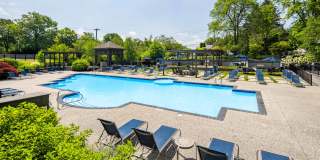 Butternut Ridge Gallery 3