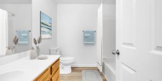 Windsor Terrace Gallery 10