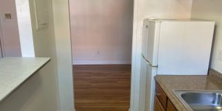 Gross Street Gallery 26