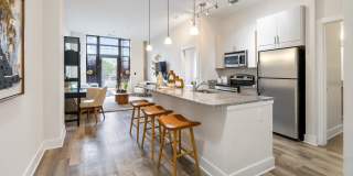 Maven at Wheaton Gallery 24