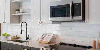 Novel Cary Gallery 14