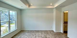 Brand New Townhome in Pringle Town Gallery 11