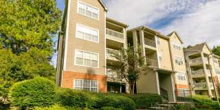 Ellington Woods Apartments Gallery 30