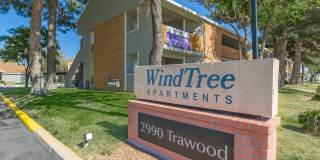 Wind Tree Gallery 17