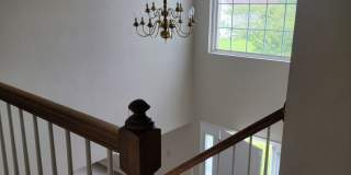 Spacious 4 Bedroom in Stonegate Gallery 11