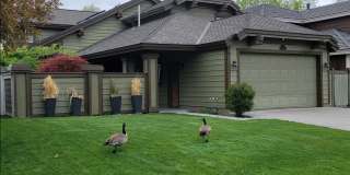 4045 Riverhaven Drive Gallery 10