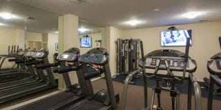 Delta Flats Gallery 28