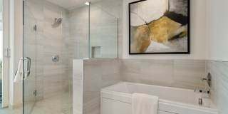 Palisade UTC Gallery 35