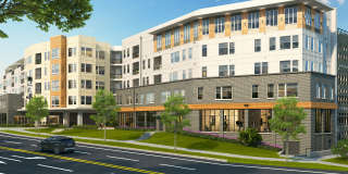 Novel Edgehill Gallery 8