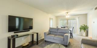 Imperial Palms Gallery 29