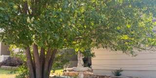 4 BED | 1.5 BATH | HOME | CARPORT | WEST Gallery 4