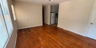 108 Wilson Street Gallery 1