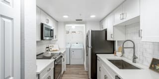 Palm Trace Landings Gallery 79