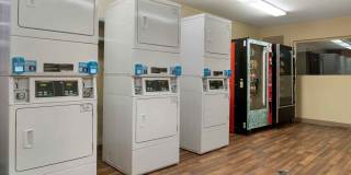 Detroit - Madison Heights Gallery 19