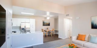 Vista Pointe Gallery 22