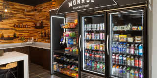 The Monroe Gallery 17