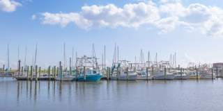 Artwalk Bucktown Gallery 33