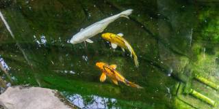 249 County Street Gallery 5