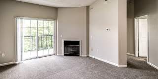 Autumn Grove Gallery 31