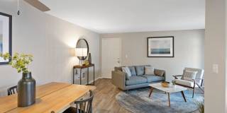 Alvista 23 Gallery 11