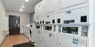 Montgomery Gallery 12