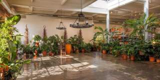 114 GREEN Lane Gallery 19