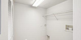 Coral Cove Gallery 41