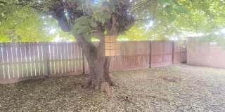 3 Bedroom/2 Bath House Close to Shopping Gallery 13