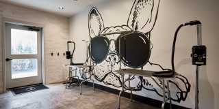 Coulter Place Gallery 46