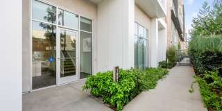 Essence Essence Gallery 54