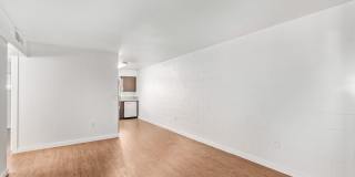 Decco 109 Gallery 23