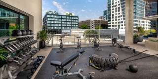 Ovelo Hollywood Gallery 24