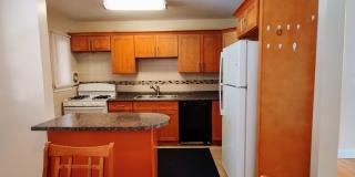 2435 W Balmoral Avenue Gallery 4