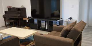 110 Ponce De Leon Blvd Gallery 17