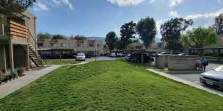 Sierra Vista Gallery 23