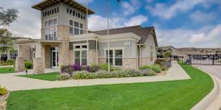 Springs at 2534 Gallery 19