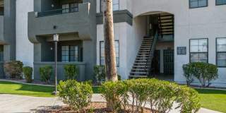 Mandarina Apartment Homes Gallery 52