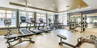 Avalon Bellevue Gallery 21