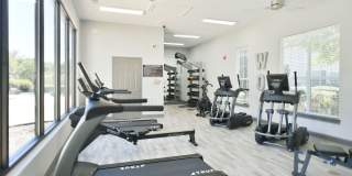 Walden Oaks Gallery 13