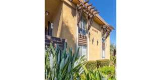 Elán Avante Apartment Homes Gallery 27