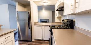 The Lucent Gallery 2