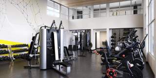 Alta Waverly Gallery 6