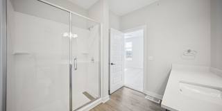 Area Gallery 17