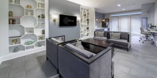 The Collection Gallery 43