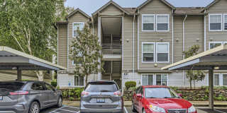 Wy'East Pointe Gallery 9