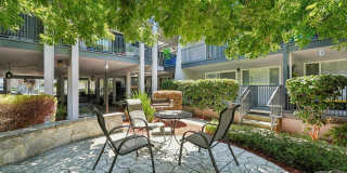 Spring Ridge on Fletcher Apartments Gallery 31