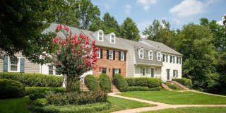 Fairfax Square Gallery 21