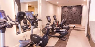 Museum Tower Gallery 9